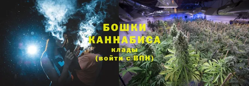 где купить наркоту  Красноперекопск  Шишки марихуана White Widow 